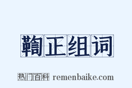 鞫正组词是什么意思的图片